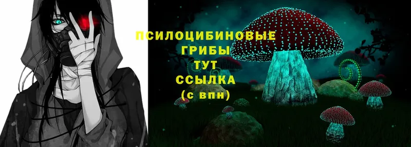 blacksprut как зайти  хочу наркоту  Кораблино  Псилоцибиновые грибы MAGIC MUSHROOMS 